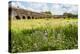 Italy, Rome. Parco Regionale dell'Appia, Antica, Park of the Aqueducts-Alison Jones-Premier Image Canvas