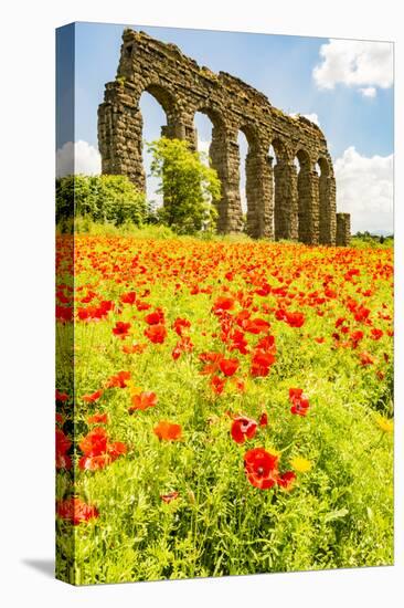 Italy, Rome. Parco Regionale dell'Appia, Antica, Park of the Aqueducts-Alison Jones-Premier Image Canvas