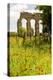 Italy, Rome. Parco Regionale dell'Appia, Antica, Park of the Aqueducts-Alison Jones-Premier Image Canvas