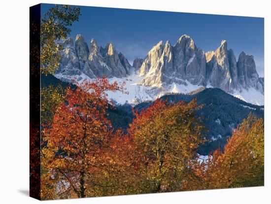 Italy, South Tirol, Villnš§tal, the Dolomites, Geislerspitzen, Trees, Autumn-Thonig-Premier Image Canvas