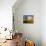 Italy, South Tyrol, Dolomites, 'Rosengarten', 'Vajolet-T?Me', Autumn-Thonig-Premier Image Canvas displayed on a wall