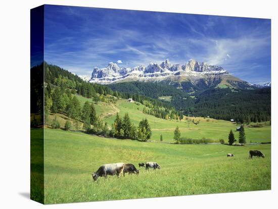 Italy, South Tyrol, Rose Garden Area, Nova Levante, Geiger Alm Rosengarten Group-Udo Siebig-Premier Image Canvas