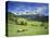 Italy, South Tyrol, Rose Garden Area, Nova Levante, Geiger Alm Rosengarten Group-Udo Siebig-Premier Image Canvas