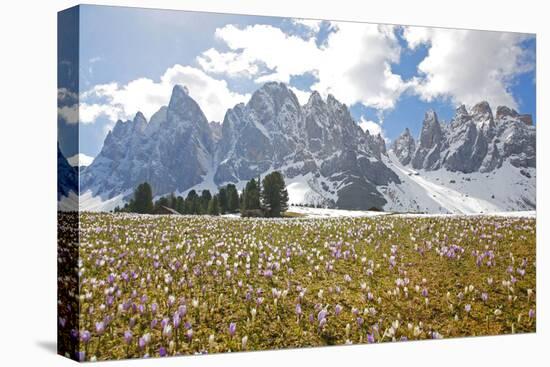 Italy, South Tyrol, the Dolomites, Geislerspitzen-Alfons Rumberger-Premier Image Canvas