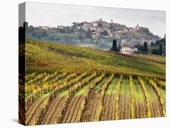 Italy, Tuscany. Colorful Vineyards in Fall in the Val Dorcia-Julie Eggers-Premier Image Canvas