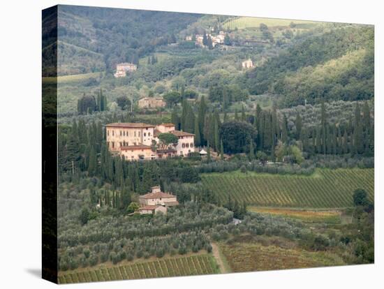 Italy, Tuscany. Countryside and Vineyards in the Chianti Region-Julie Eggers-Premier Image Canvas