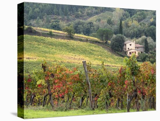 Italy, Tuscany. Farm House and Vineyard in the Chianti Region-Julie Eggers-Premier Image Canvas