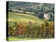 Italy, Tuscany. Farm House and Vineyard in the Chianti Region-Julie Eggers-Premier Image Canvas