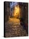 Italy, Tuscany. Montefioralle Near the Town of Greve in Chianti-Julie Eggers-Premier Image Canvas