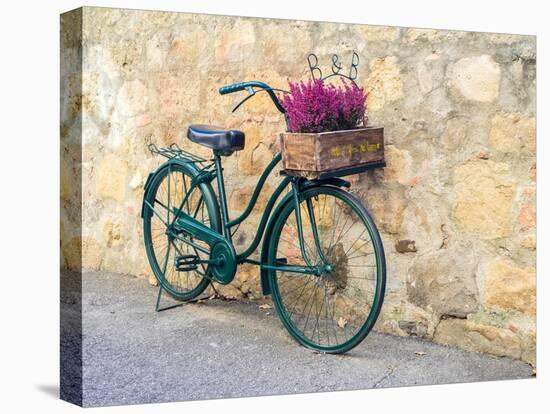 Italy, Tuscany, Monticchiello. Bicycle with bright pink heather in the basket.-Julie Eggers-Premier Image Canvas