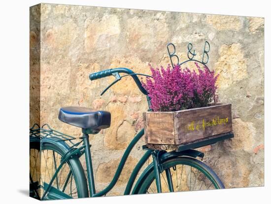 Italy, Tuscany, Monticchiello. Bicycle with bright pink heather in the basket.-Julie Eggers-Premier Image Canvas