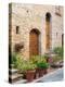 Italy, Tuscany, Pienza. Doorway surrounded by flowers.-Julie Eggers-Premier Image Canvas