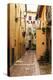 Italy, Tuscany, province of Siena, Chiusure. Hill town. Narrow passageway.-Emily Wilson-Premier Image Canvas