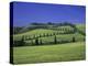 Italy, Tuscany, Siena, Chianciano Terme, Landscape at La Foce-Udo Siebig-Premier Image Canvas
