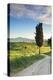 Italy, Tuscany, Siena District, Orcia Valley, Country Road Near Pienza.-Francesco Iacobelli-Premier Image Canvas