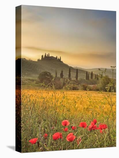 Italy, Tuscany, Siena District, Orcia Valley, Podere Belvedere Near San Quirico D'Orcia-Francesco Iacobelli-Premier Image Canvas
