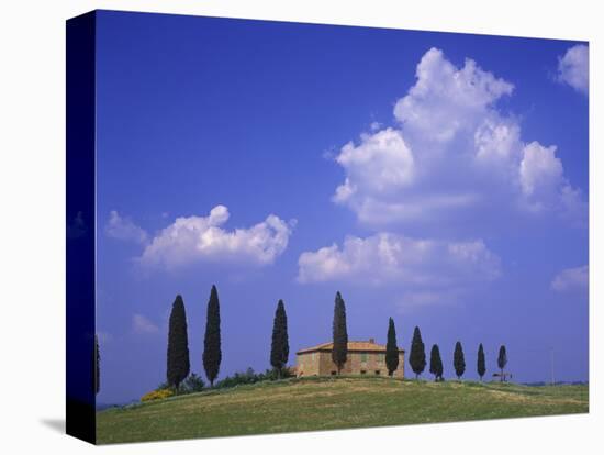 Italy, Tuscany, Siena, Pienza, Grange Province-Udo Siebig-Premier Image Canvas