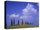 Italy, Tuscany, Siena, Pienza, Grange Province-Udo Siebig-Premier Image Canvas