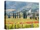 Italy, Tuscany. Vineyard and Olive Trees with the Abbey of Sant Antimo-Julie Eggers-Premier Image Canvas