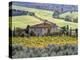 Italy, Tuscany. Vineyards and Olive Trees in Autumn by a House-Julie Eggers-Premier Image Canvas