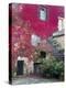 Italy, Tuscany, Volpaia. Red Ivy Covering the Walls of the Buildings-Julie Eggers-Premier Image Canvas