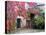 Italy, Tuscany, Volpaia. Red Ivy Covering the Walls of the Buildings-Julie Eggers-Premier Image Canvas