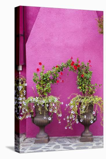 Italy, Venice, Burano Island. Urns planted with flowers against a bright pink wall on Burano Island-Julie Eggers-Premier Image Canvas