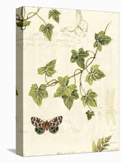 Ivies and Ferns II-Lisa Audit-Stretched Canvas