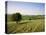 Ivinghoe Beacon from the Ridgeway Path, Chiltern Hills, Buckinghamshire, England-David Hughes-Premier Image Canvas