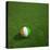 Ivorian Soccerball Lying on Grass-zentilia-Stretched Canvas