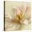 Ivory Romance II-Amy Melious-Stretched Canvas