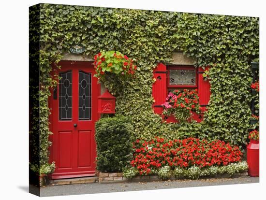 Ivy Covered Cottage, Town of Borris, County Carlow, Leinster, Republic of Ireland, Europe-Richard Cummins-Premier Image Canvas