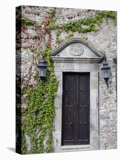 Ivy Covered Wall, San Miguel, Guanajuato State, Mexico-Julie Eggers-Premier Image Canvas