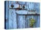 Ivy (Hedera Sp) Growing on Old Barn Door, Scotland, United Kingdom, Europe-Ann & Steve Toon-Premier Image Canvas