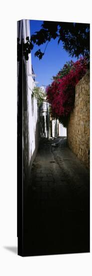 Ivy on a Stonewall in an Alley, Lindos, Rhodes, Greece-null-Premier Image Canvas