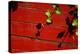 Ivy on Red Barn-null-Stretched Canvas