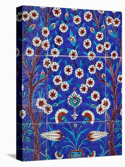 Iznik Tiles in Topkapi Palace, Istanbul, Turkey, Europe-Godong-Premier Image Canvas