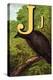 J For the Jackdaw, Perky And Bold-Edmund Evans-Stretched Canvas