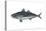 Jack Mackerel (Trachurus Symmetricus), Fishes-Encyclopaedia Britannica-Stretched Canvas