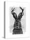 Jackalope with Grey Antlers-Fab Funky-Stretched Canvas