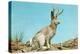 Jackalope-null-Stretched Canvas