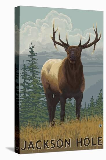 Jackson Hole, Wyoming - Elk-Lantern Press-Stretched Canvas
