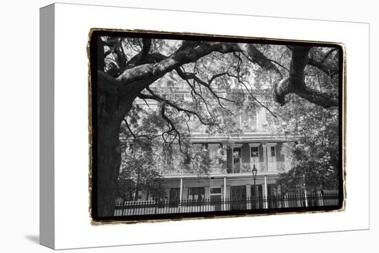 Jackson Square, New Orleans-Laura Denardo-Stretched Canvas