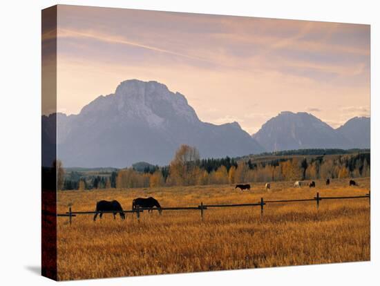 Jackson, Teton Range, Wyoming, USA-Walter Bibikow-Premier Image Canvas