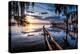 Jacksonville, Fl: Sunset Lights Up the Pier and Canoe Ramp-Brad Beck-Premier Image Canvas