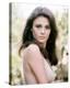 Jacqueline Bisset-null-Stretched Canvas