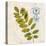 Jade Forest Leaf 4-Morgan Yamada-Stretched Canvas