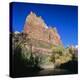 Jagged Sandstone Cliffs Above the Virgin River, Zion National Park, Utah, USA-Ruth Tomlinson-Premier Image Canvas