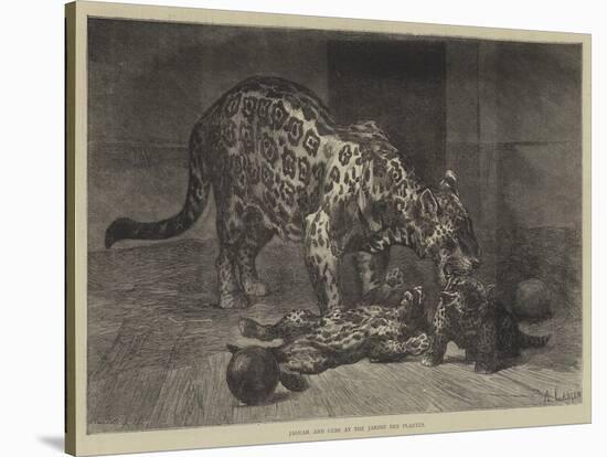 Jaguar and Cubs at the Jardin Des Plantes-Auguste Andre Lancon-Premier Image Canvas