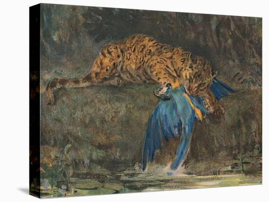 'Jaguar and Macaw', late 19th century-John MacAllan Swan-Premier Image Canvas